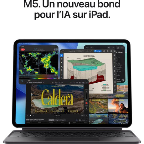 APPLE - iPad Pro M5 - 11 - Wi-Fi - 2 To - Verre standard - Space Black