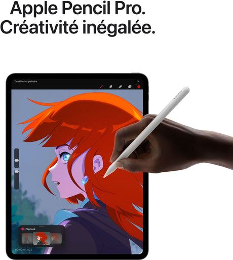 APPLE - iPad Pro M5 - 11 - Wi-Fi + Cellular - 2 To - Verre nano-texturé - Space Black
