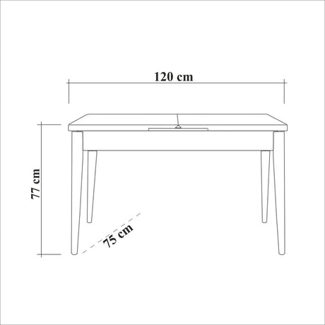 Table a manger - OLIVER - Extensible - Rectangulaire - 4 personnes - 120 x 77 x 75 cm - Noir