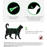 Frontline Combo chat - Anti-puces anti-tiques pour chat - 3 pipettes