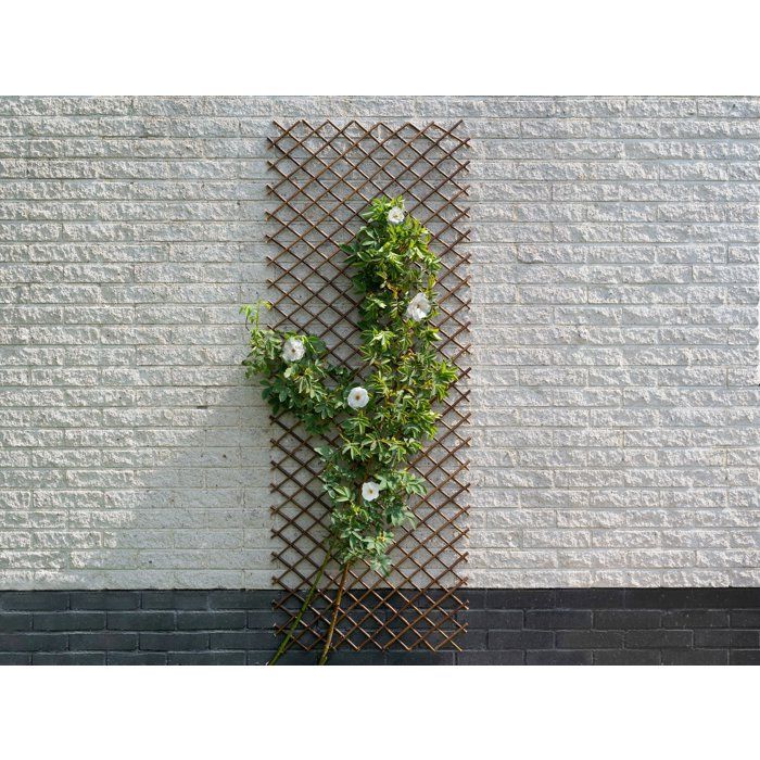 Nature Treillis de jardin 30x180 cm saule naturel marron 446397