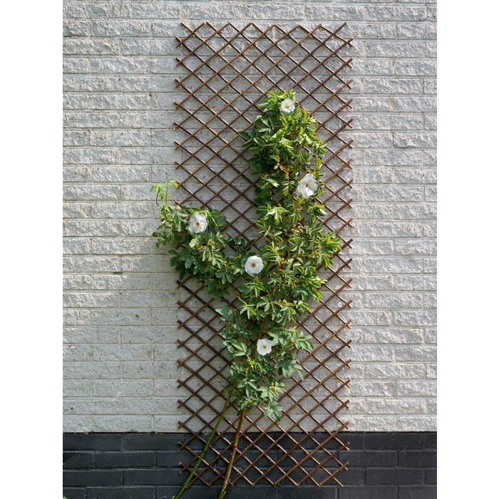 Nature Treillis de jardin 30x180 cm saule naturel marron 446397