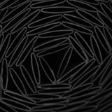 Canisse PVC double face - NATURE - 1 x 3 m - 1600 g/m˛ - Occultant 4/5 - Anti-UV - Anthracite