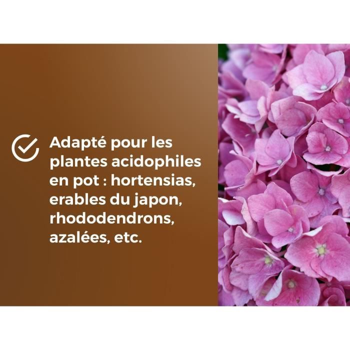 Terreau spécial plantes de bruyere - OR BRUN - OBRTBRU6U - 6L - Meilleur enracinement