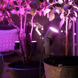 Projecteur de jardin - PHILIPS HUE - Lily - Lumiere blanche et colorée - Noir - Basse tension - Extension - IP67