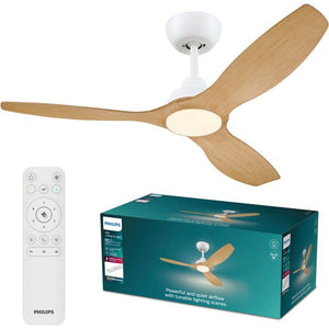 Ventilateur de plafond