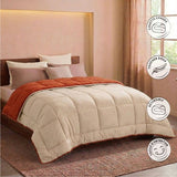 CALGARY - Couette Chaude Microfibre 400gr/m˛ - Gris Galet & Marron Gingembre -220 x 240 cm