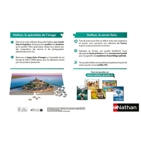 Nathan - Puzzle 2000 pieces - Les portraits / Astérix -des 14 ans - Puzzle de qualité supérieure - Collection Mes Héros - 12001820
