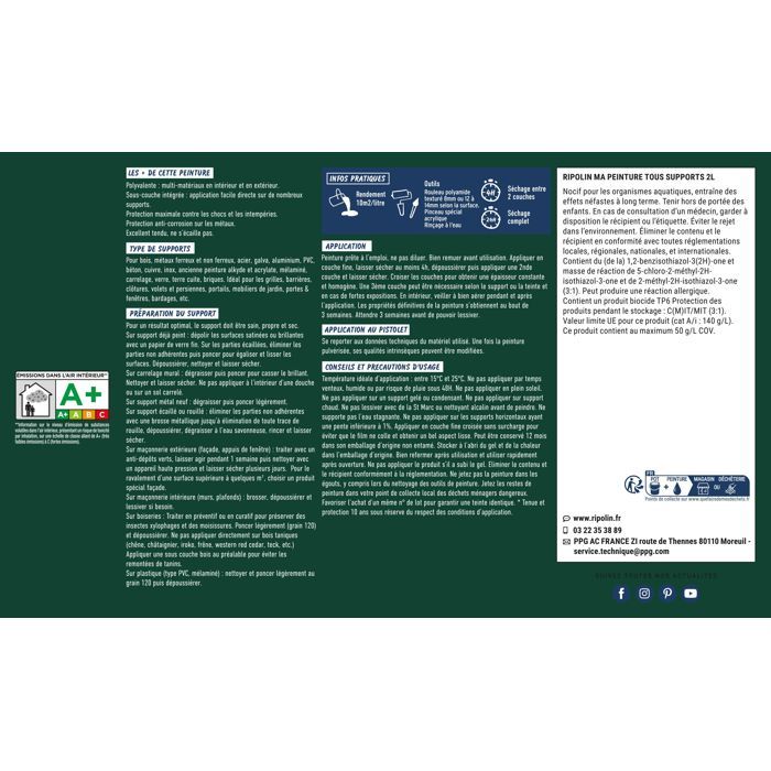 Peinture multi-supports - Vert basque - RAL 6005 - Mat - Ripolin - 2L