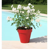 Pot de fleurs - RIVIERA - Soleilla Rond - Ř 39,2 x 35,8 cm - 25L - Rouge