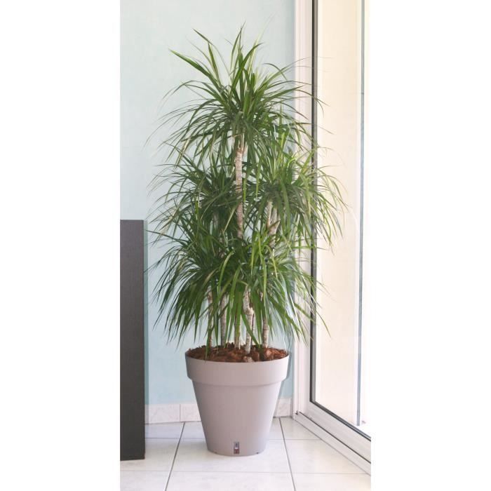 Pot de fleurs avec réserve d'eau - RIVIERA - Loft Rond - Ř 49 x H 45 cm -Taupe