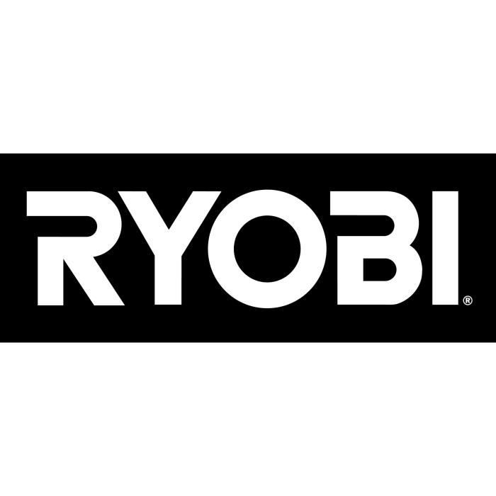 RYOBI - Touret a bande et a disque 250 W + meule a ébavurer, bande ponçage 50 x 686 mm, pare-éclats & 2 porte-pieces - RBGL250G