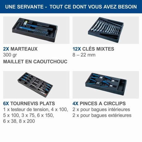 Servante d'atelier outillée SCHEPPACH - TW1000 - 263 pcs (servante incluse)
