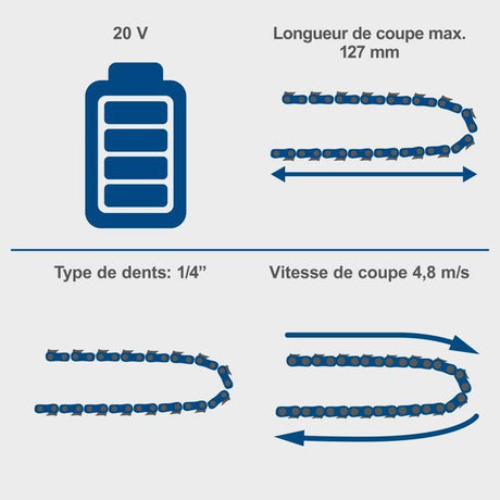 Scie de jardin sans fil SCHEPPACH C-PS100-X -  SET S  - 2 batteries 20V IXES 2 Ah + chargeur double