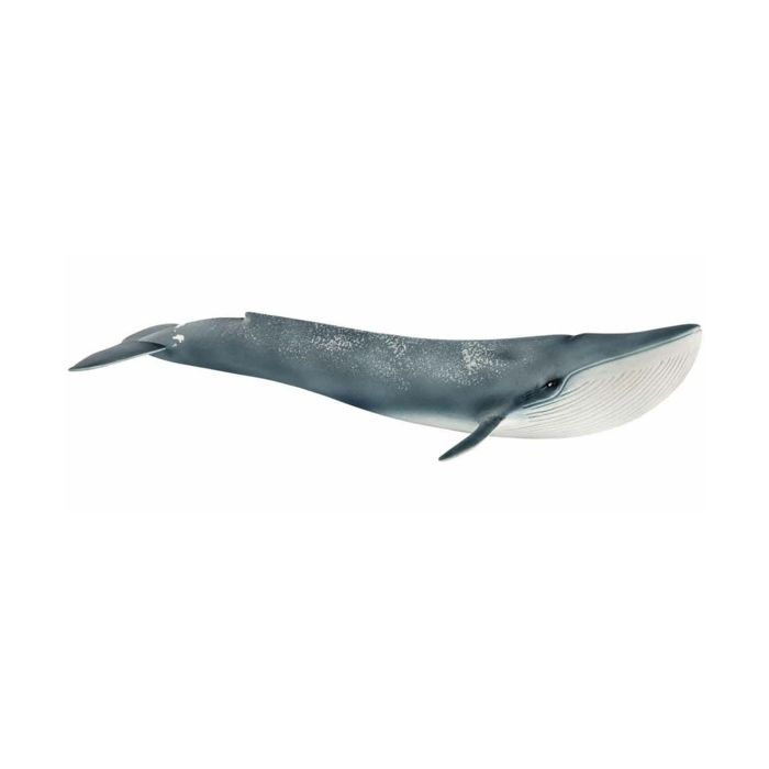 Figurine Baleine bleue - SCHLEICH 14806 Wild Life - Animal sauvage réaliste - Pour Enfant des 5 ans