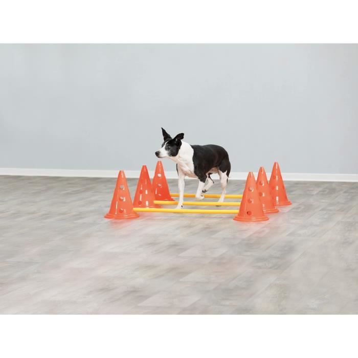 TRIXIE Lot de 3 Activités d'obstacle - Ř 23 × 30 cm - 78 cm - Orange et jaune - Pour chien