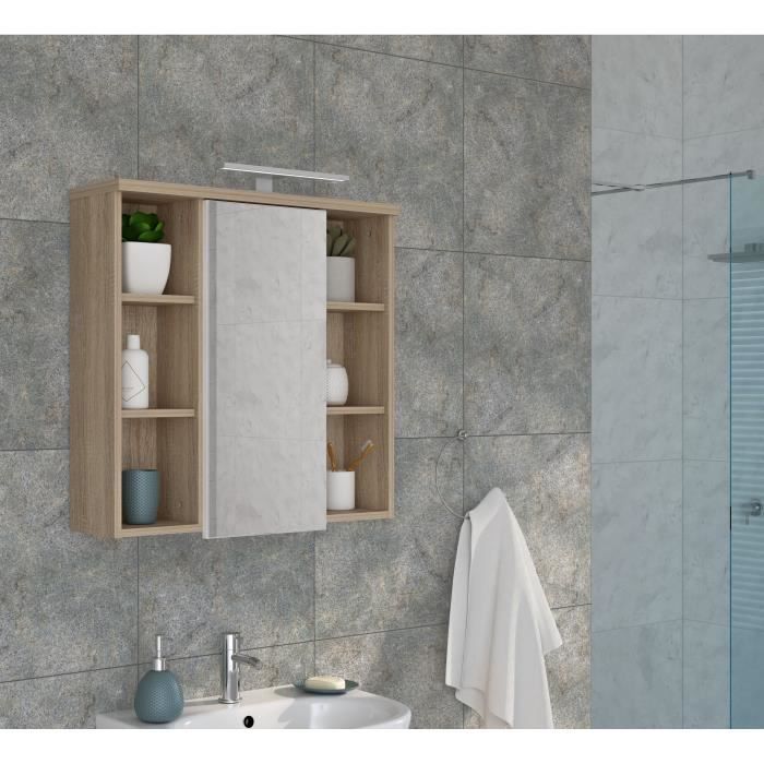 Miroir de salle de bain  - Porte - niches et éclairage - L68,6 x P20 x H68cm