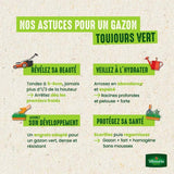 Gazon - Vilmorin - Gazon Ultra Résistant - Label Rouge - 1 kg