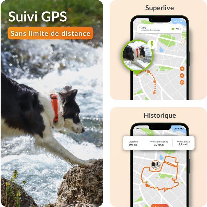 Traceur GPS pour chien sans collier - WEENECT - Chien XT - Antenne XL - Etanche - Fonctionne avec abonnement