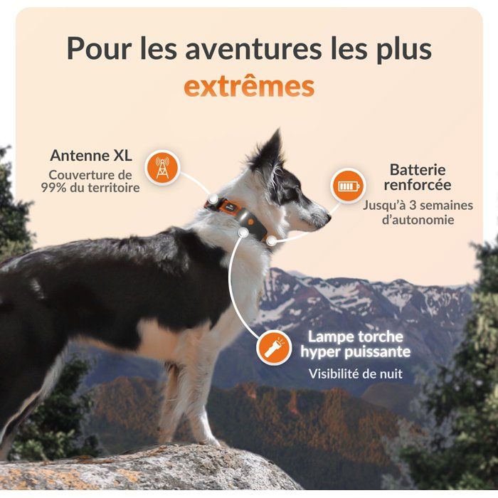 Traceur GPS pour chien sans collier - WEENECT - Chien XT - Antenne XL - Etanche - Fonctionne avec abonnement