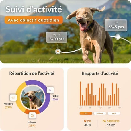 Collier GPS pour chien - WEENECT Chien XT - Antenne XL - Etanche - Collier Julius-K9 - Fonctionne avec abonnement - Orange