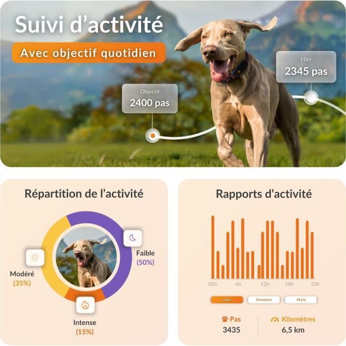 Collier GPS pour chien - WEENECT Chien XT - Antenne XL - Etanche - Collier Julius-K9 - Fonctionne avec abonnement - Orange