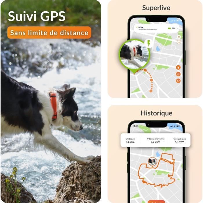 Collier GPS pour chien - WEENECT Chien XT - Antenne XL - Etanche - Collier Julius-K9 - Fonctionne avec abonnement - Orange