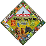 Monopoly Chevaux et Poneys - Winning Moves - Jeu de plateau - Enfant - Jeu d'ambiance - Vert