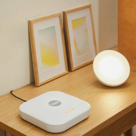 Sirene extťrieure - YALE -  Pour alarme intelligente - 100 dB et lumieres LED clignotantes - Gris