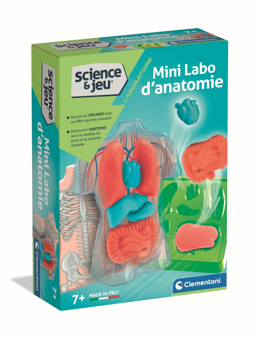 Mini Labo d'anatomie CLEMENTONI