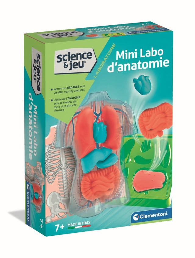 Mini Labo d'anatomie CLEMENTONI