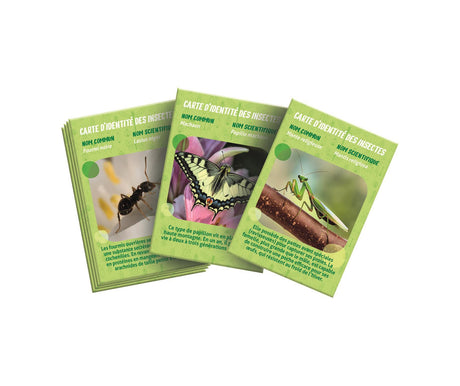 La maison des insectes - Clementoni - Science & Jeu - Jeux Scientifiques