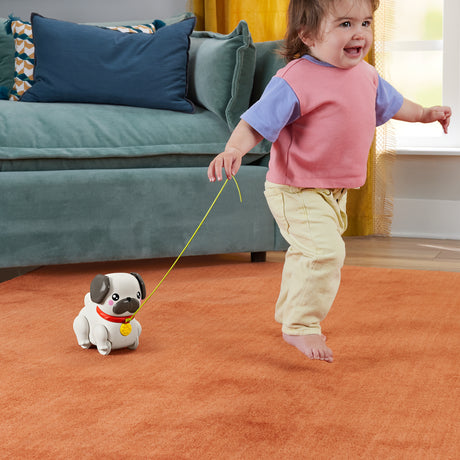 Fisher-Price Mon Carlin a promener - Jouet a tirer pour bébé - des 12 mois - HTW94