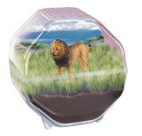 Mini Terrarium - Clementoni - Lion - Jeu de sciences et d'expériences - Des 7 ans - Fabriqué en Italie