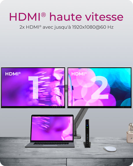 Station d'accueil USB-C 3.0 Icy Box IB-DK2251AC avec alimentation (Noir)