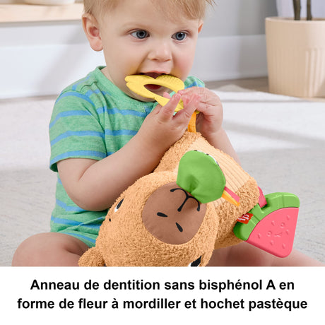 Fisher-Price-Mon Capybara Câlins-Peluche Anneau De Dentition Et Hochet - Des 3 mois- HYR54